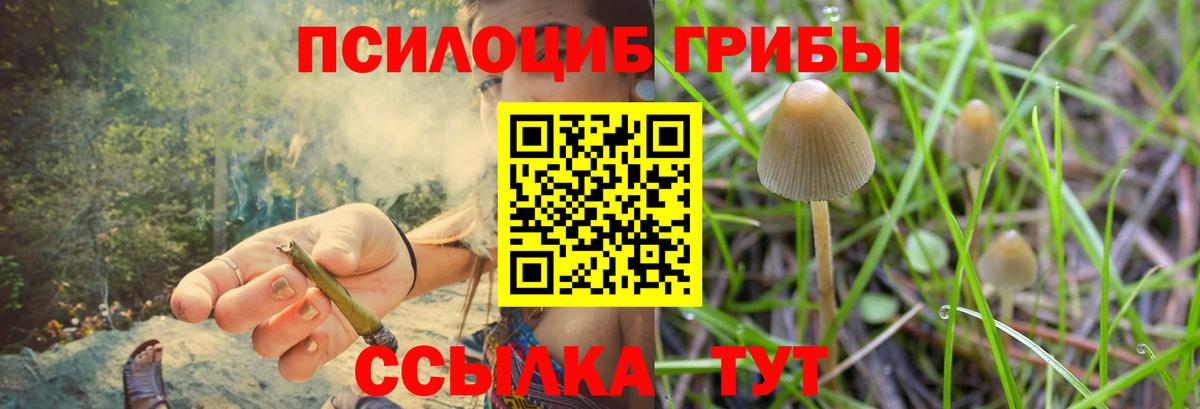 Псилоцибиновые грибы GOLDEN TEACHER  Вход с VPN  Уварово 
